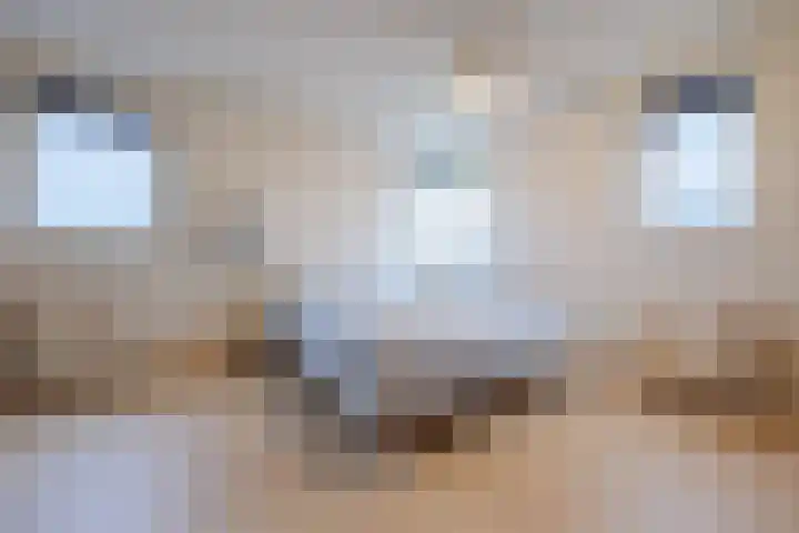 Van Delenshof 9 Druten thumbnail 23