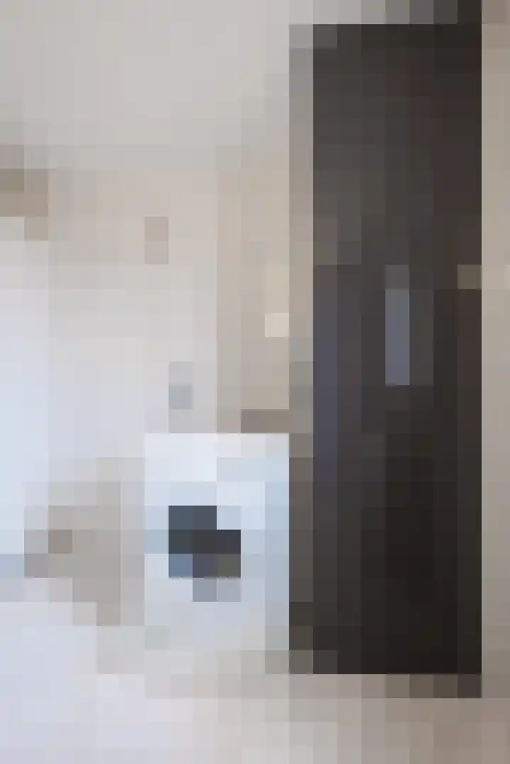 Van Delenshof 9 Druten thumbnail 28