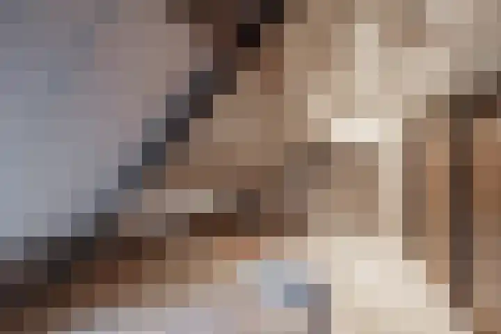 Van Delenshof 9 Druten thumbnail 31
