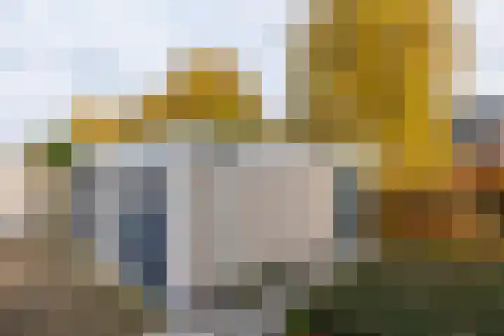 Van Delenshof 9 Druten thumbnail 32