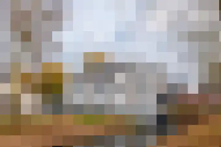 Van Delenshof 9 Druten thumbnail 33