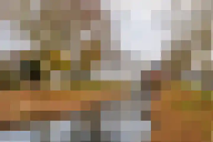 Van Delenshof 9 Druten thumbnail 34