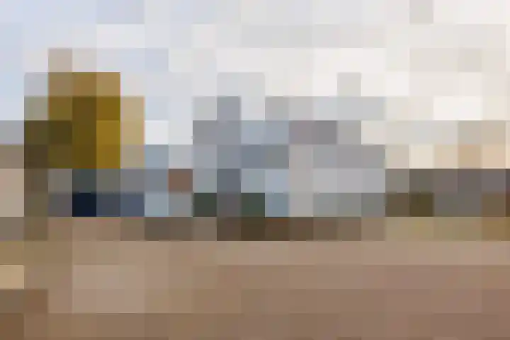 Van Delenshof 9 Druten thumbnail 4