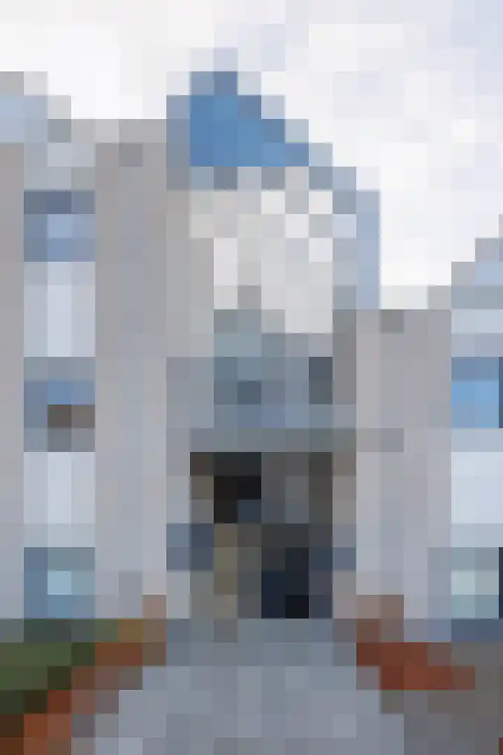 Van Delenshof 9 Druten thumbnail 5