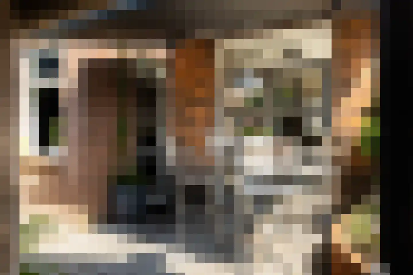 Van Delenstraat 15 Nijkerk thumbnail 29