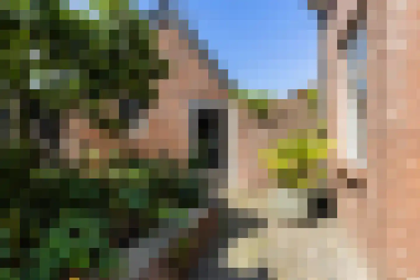 Van Delenstraat 15 Nijkerk thumbnail 32