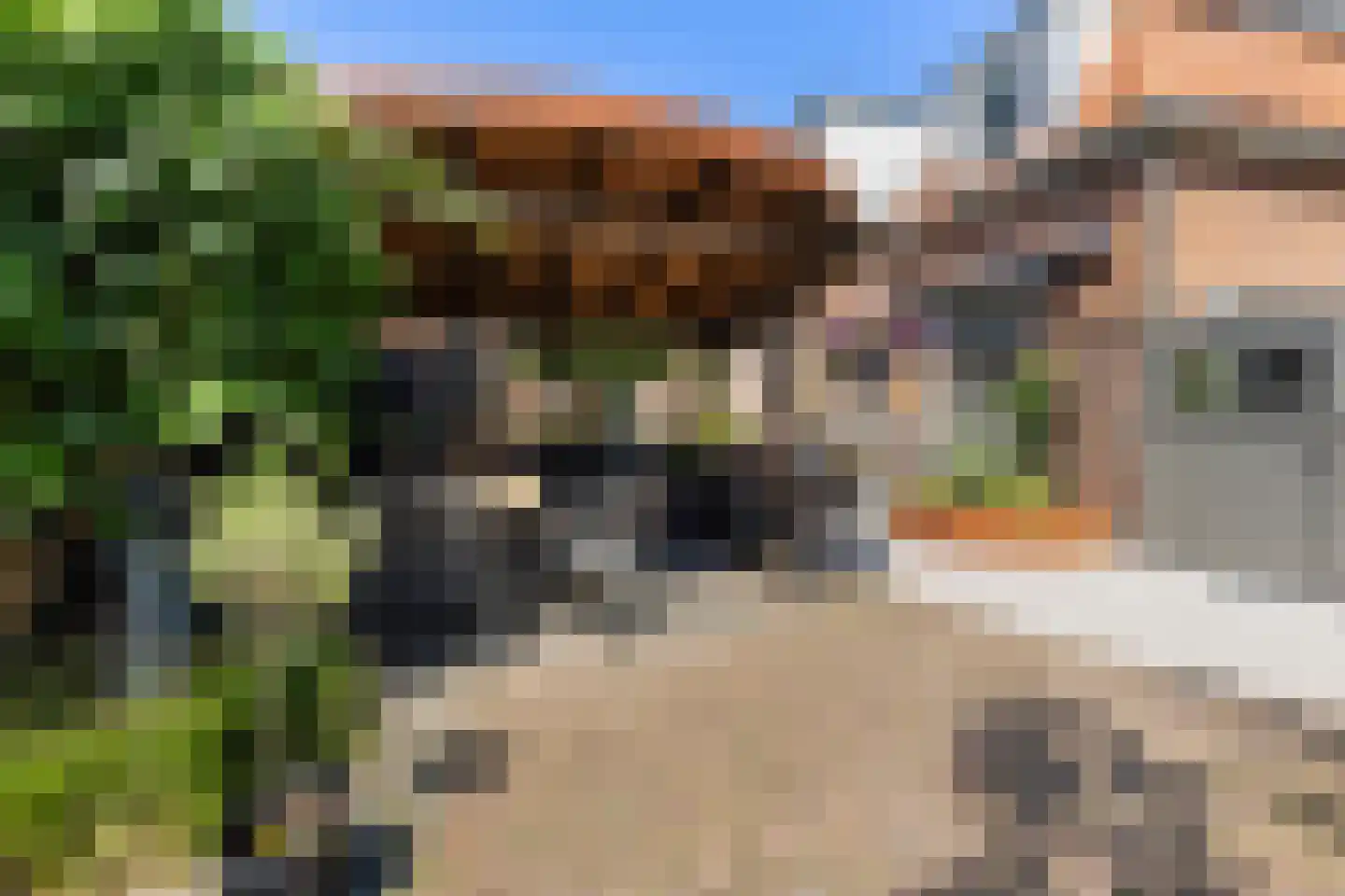 Van Delenstraat 15 Nijkerk thumbnail 33