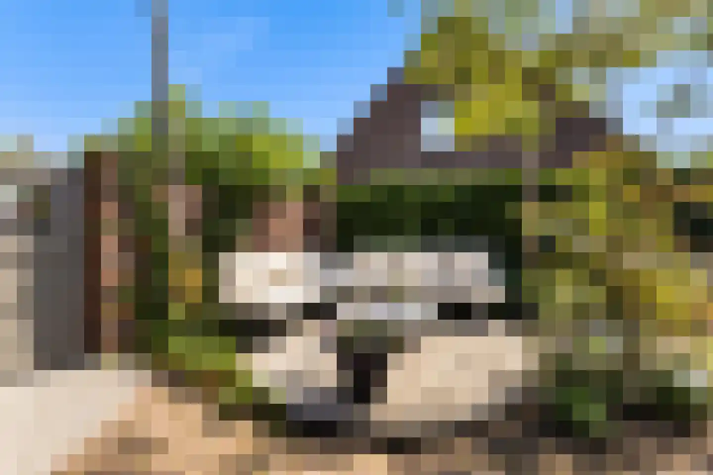 Van Delenstraat 15 Nijkerk thumbnail 36