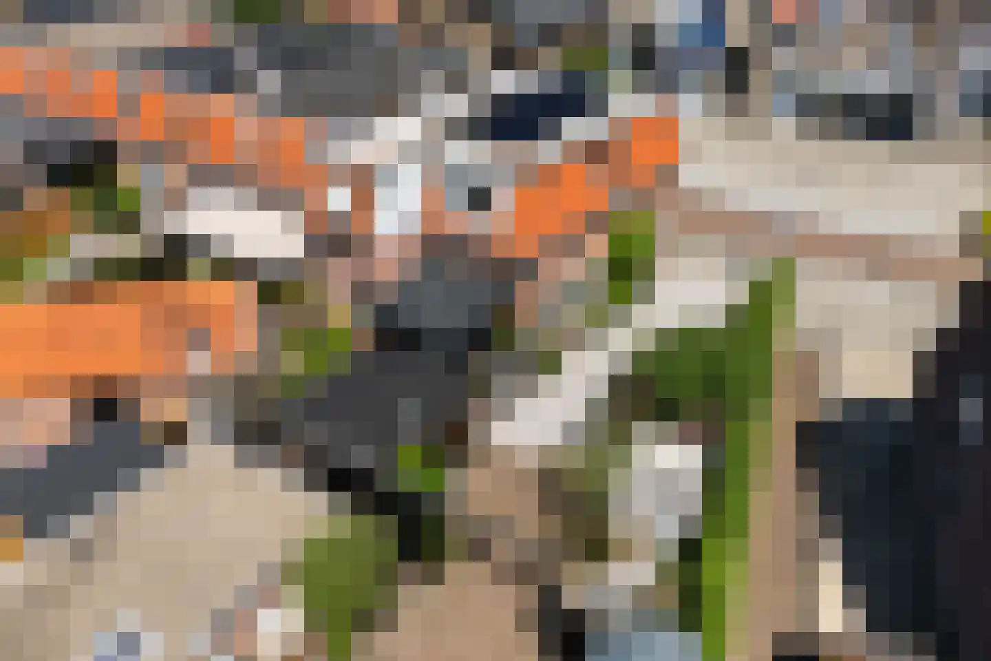 Van Delenstraat 15 Nijkerk thumbnail 45