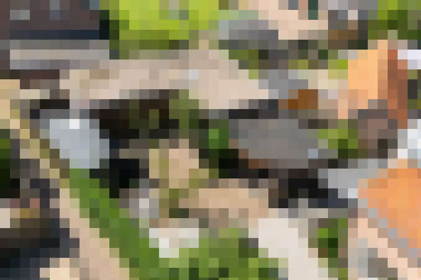 Van Delenstraat 15 Nijkerk thumbnail 6