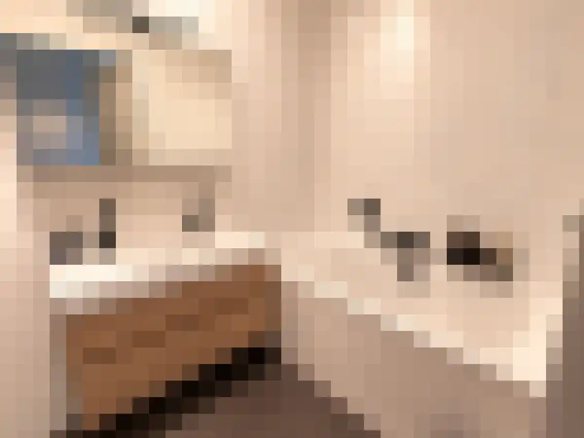 Van Delfthof 355 Tilburg thumbnail 5