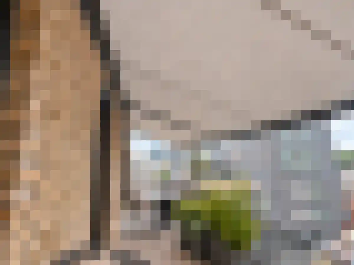 Van Delfthof 355 Tilburg thumbnail 6
