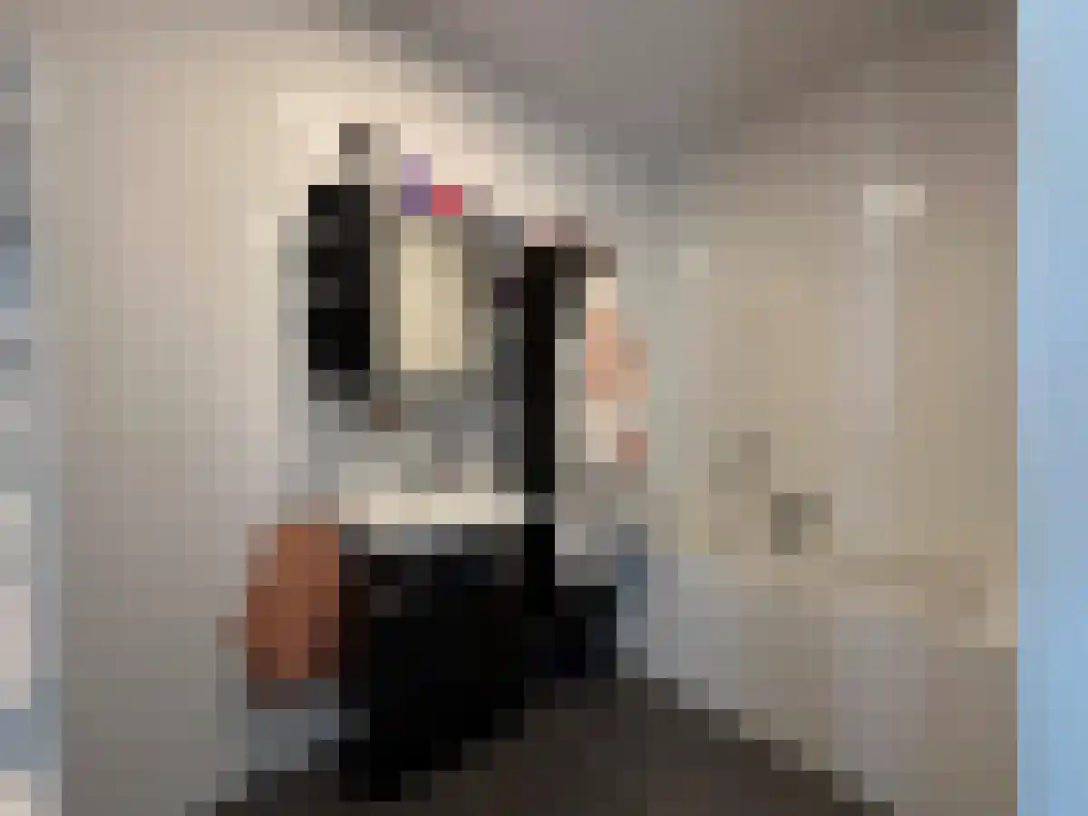 Van Delfthof 362 Tilburg thumbnail 5