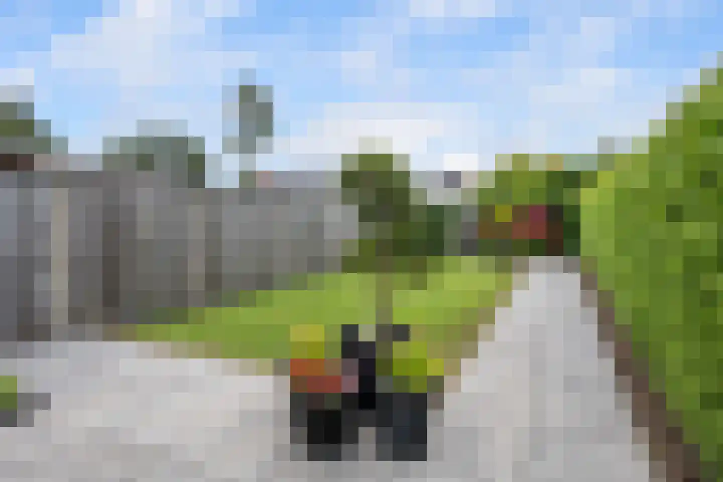 van Delftstraat 52 Wildervank thumbnail 6