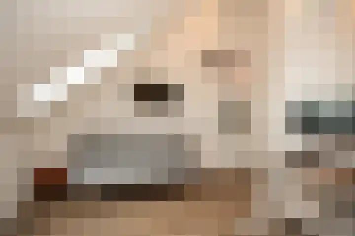Van den Akker-erf 13 Heesch thumbnail 40