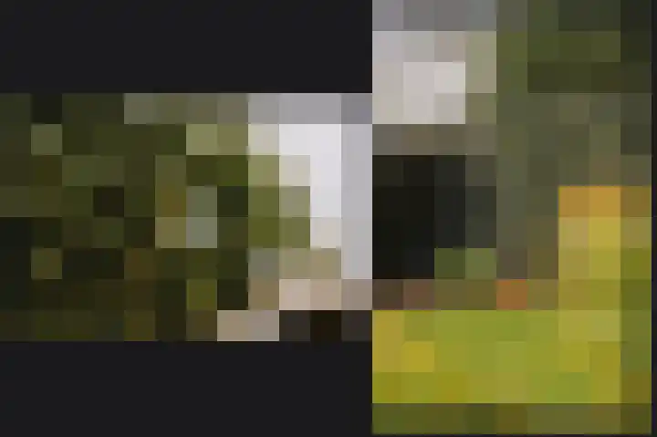 Van den Akker-erf 13 Heesch thumbnail 43