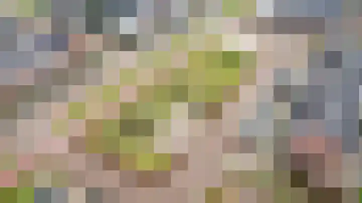 Van den Akker-erf 13 Heesch thumbnail 52
