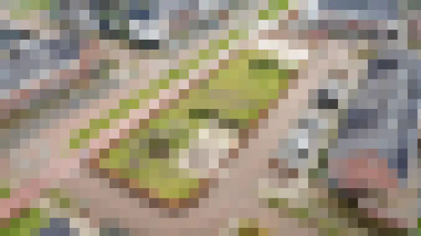 Van den Akker-erf 13 Heesch thumbnail 52