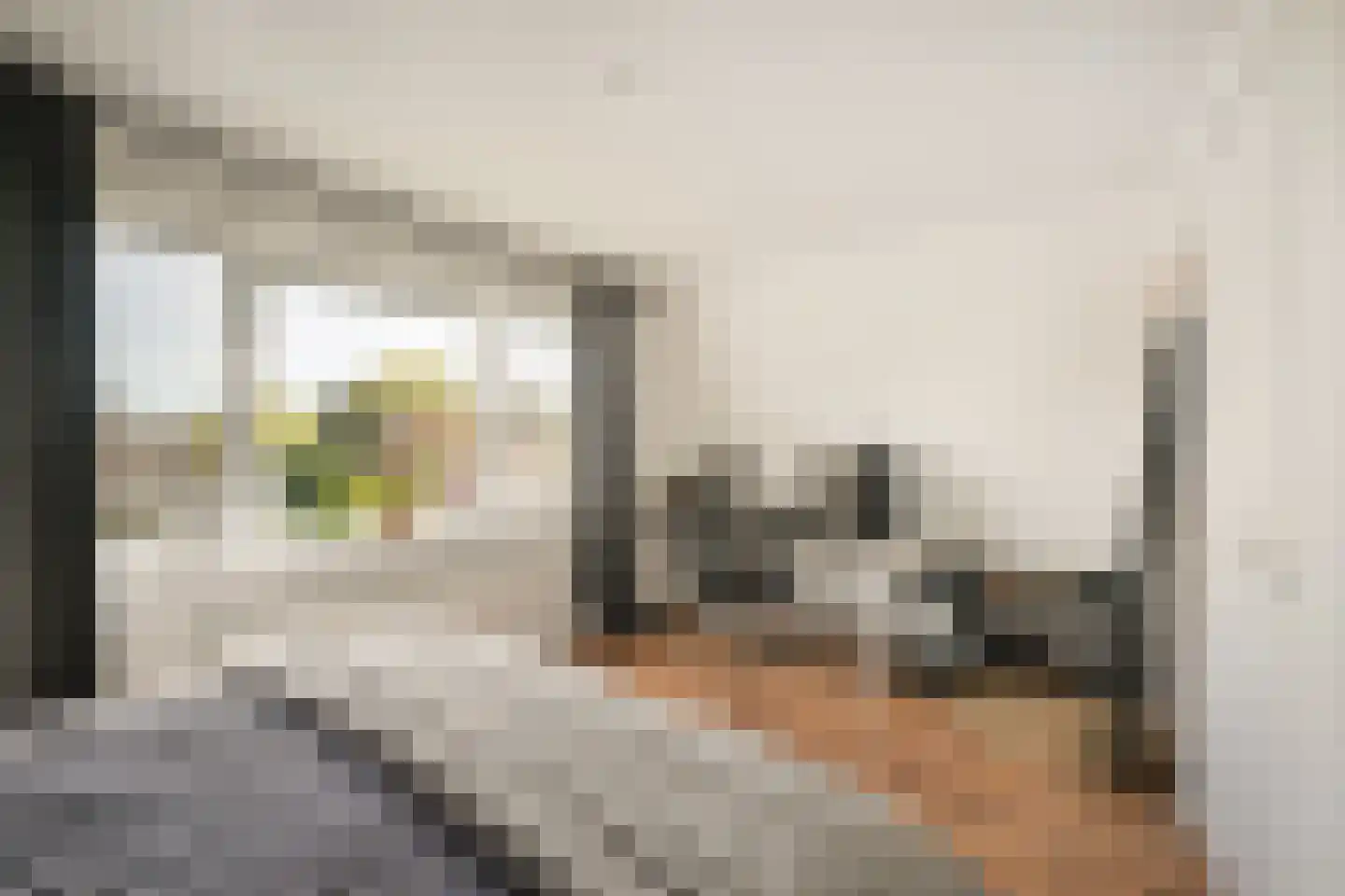 Van den Berghlaan 111 Hoofddorp thumbnail 26