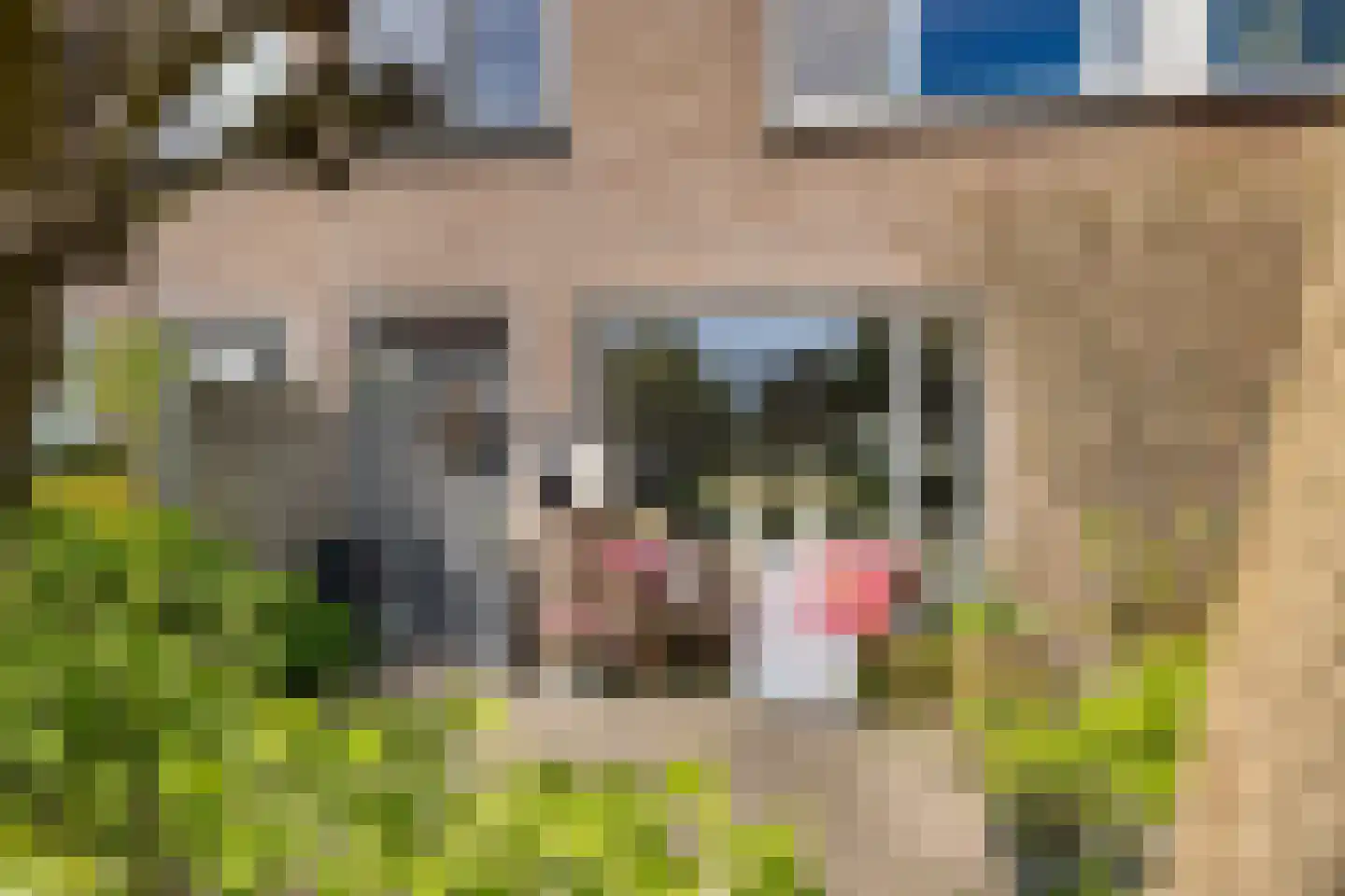 Van den Berghlaan 111 Hoofddorp thumbnail 4