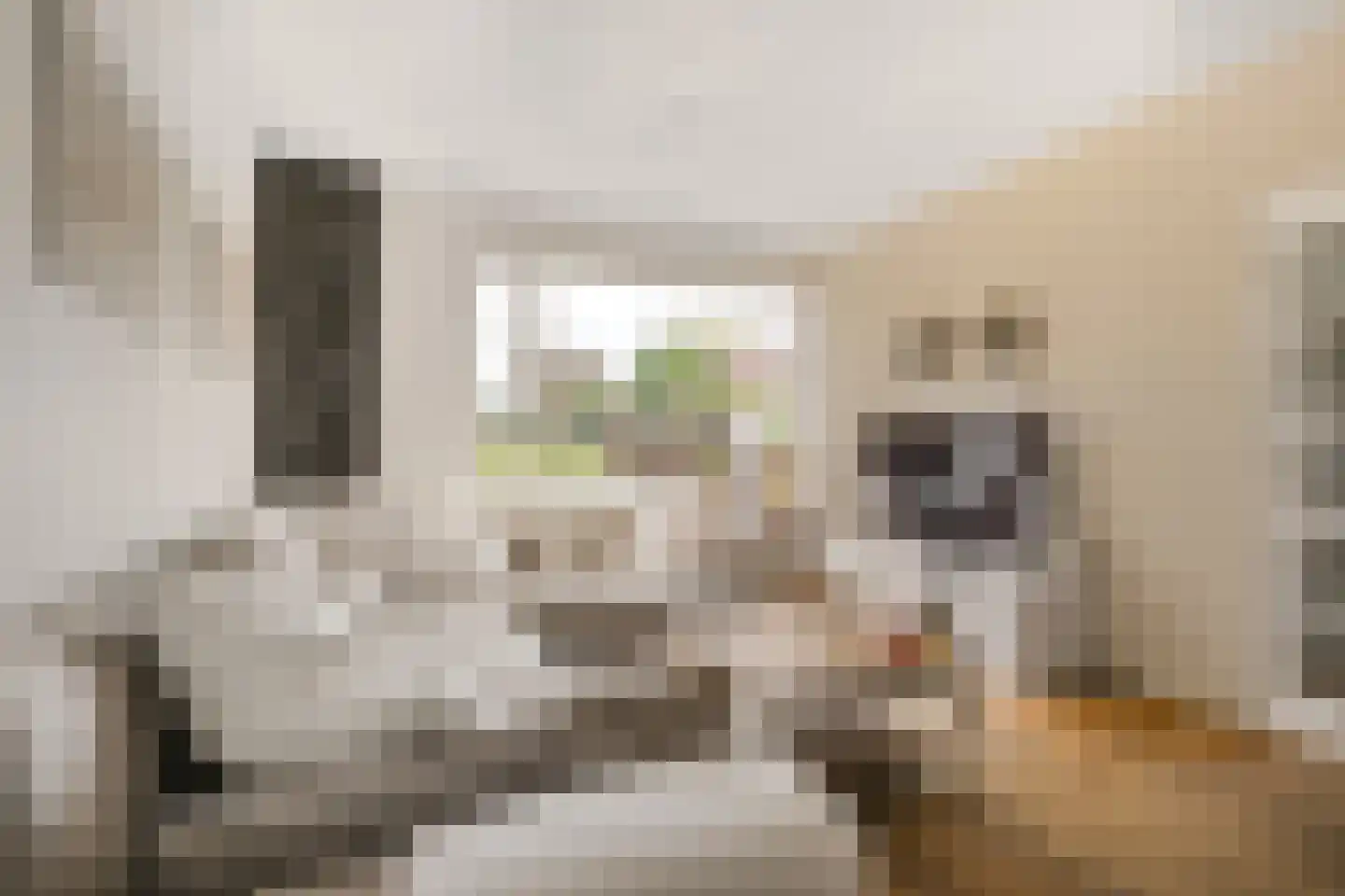 Van den Berghlaan 111 Hoofddorp thumbnail 7