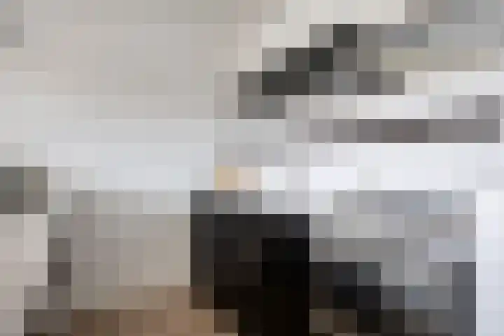 Van den Berghlaan 137 A Hoofddorp thumbnail 10