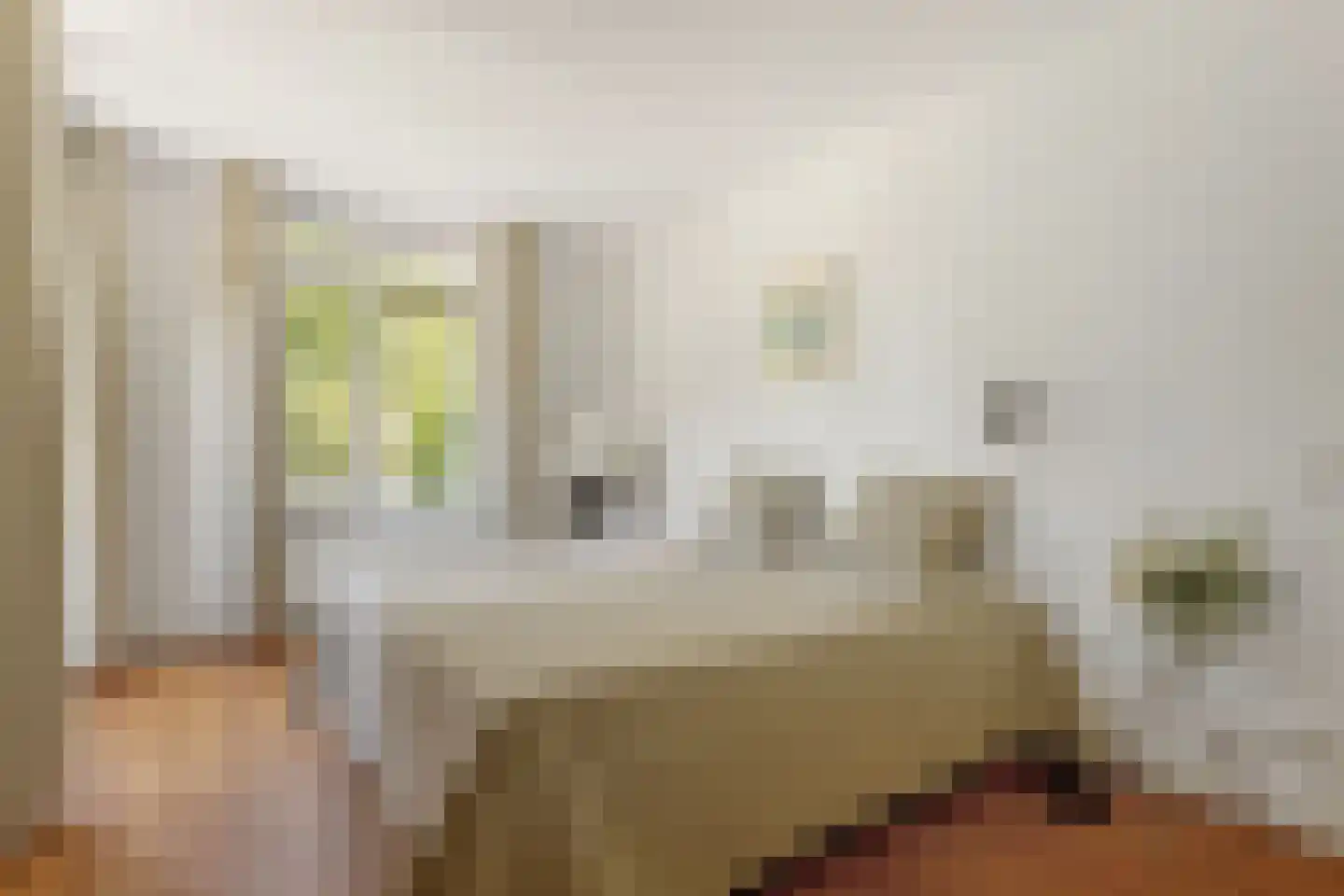 Van den Berghlaan 20 Ermelo thumbnail 23