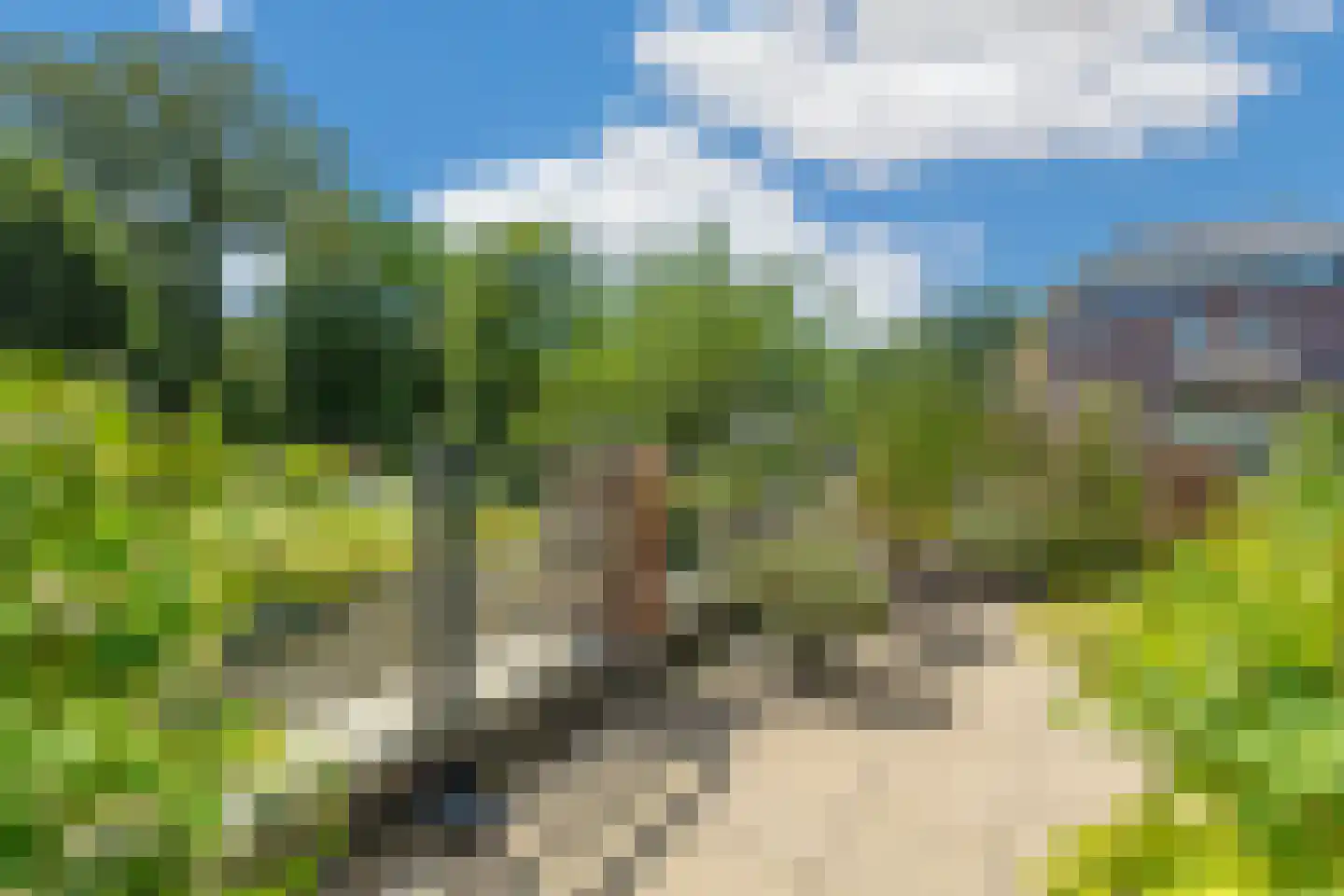Van den Berghlaan 20 Ermelo thumbnail 37
