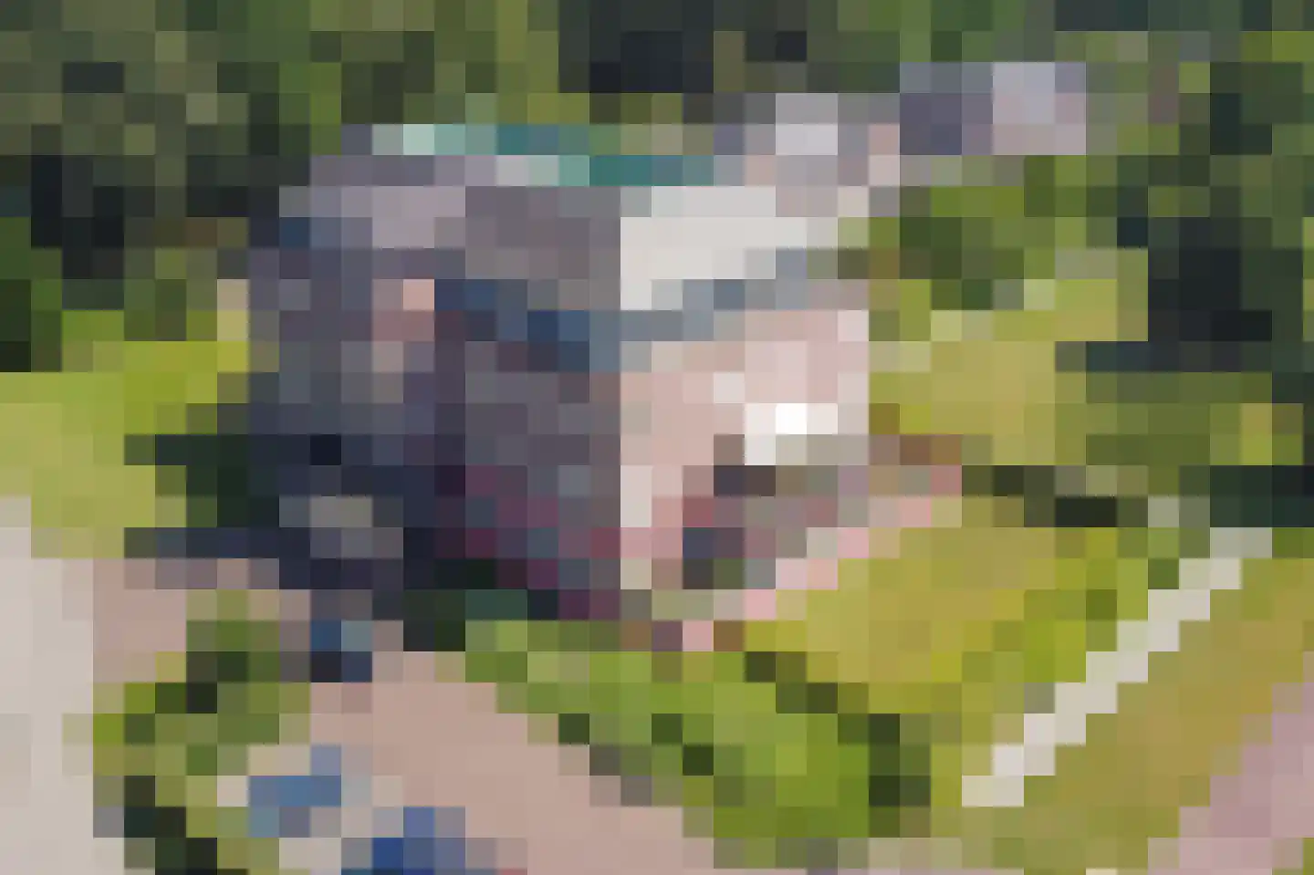 Van den Berghlaan 20 Ermelo thumbnail 43