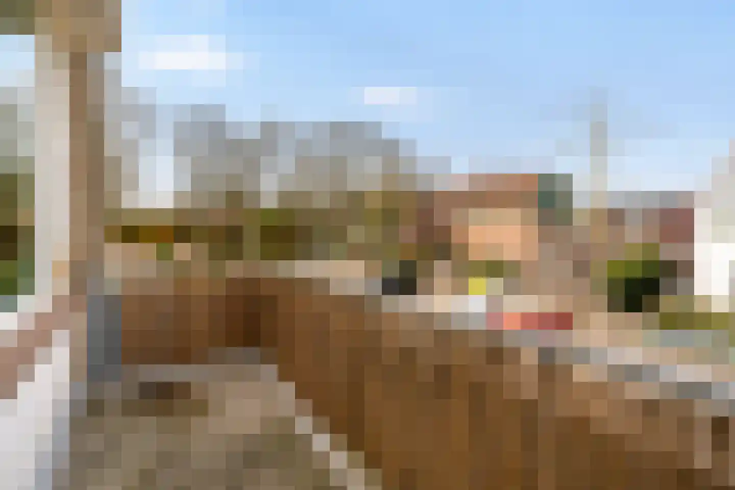 Van den Berghlaan 291 A Hoofddorp thumbnail 10