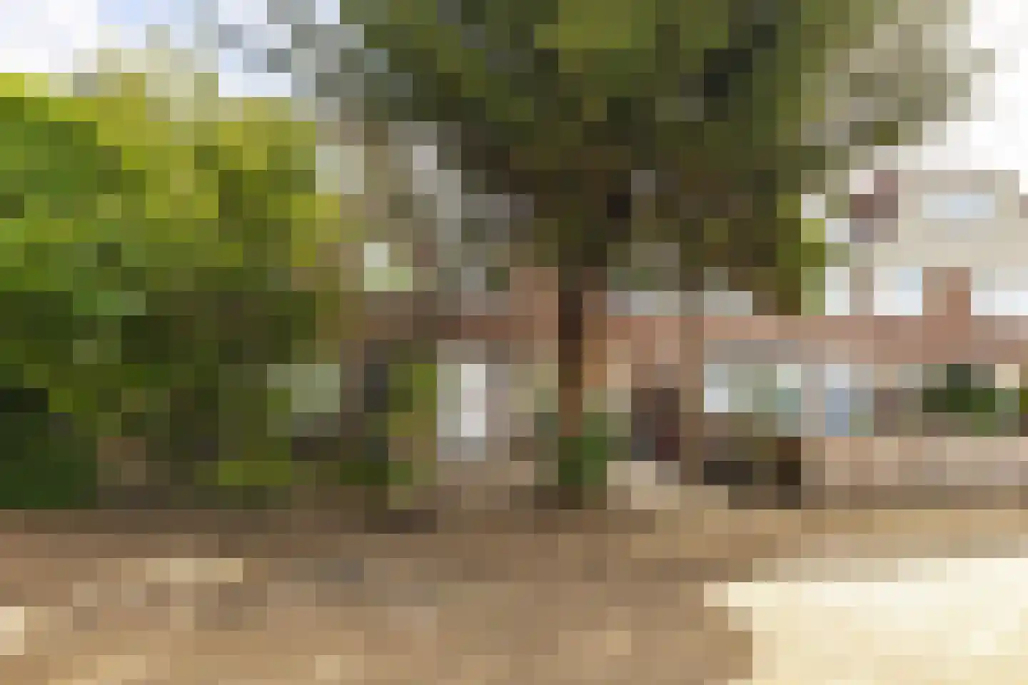 Van den Berghlaan 305 Hoofddorp thumbnail 14
