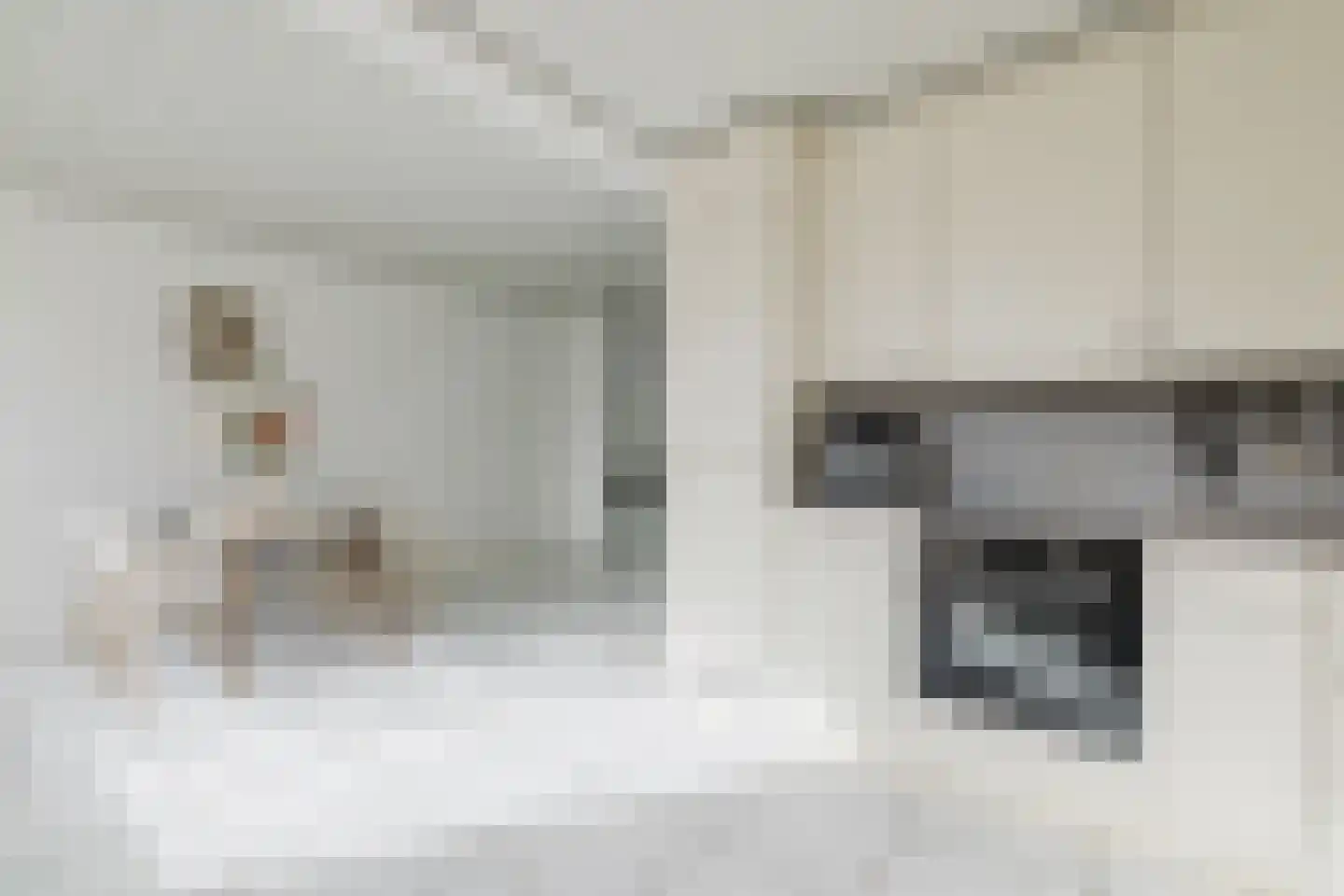Van den Berghlaan 305 Hoofddorp thumbnail 22