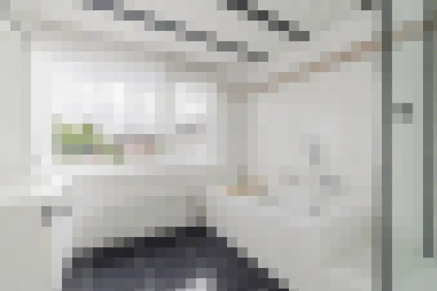 Van den Berghlaan 305 Hoofddorp thumbnail 38