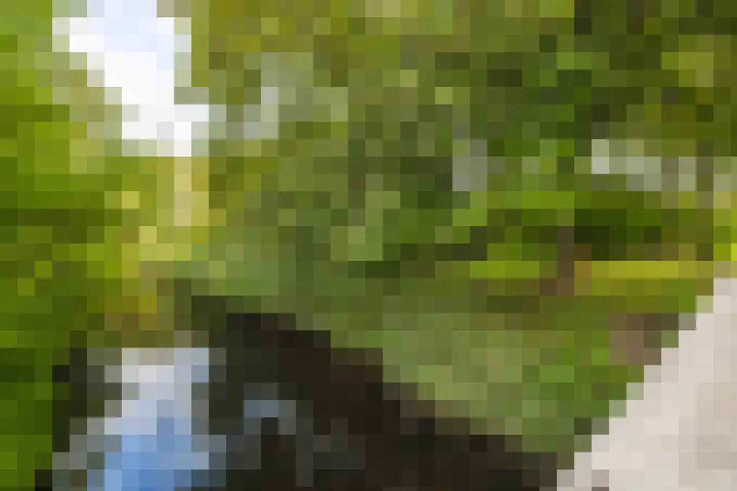 Van den Berghlaan 305 Hoofddorp thumbnail 55