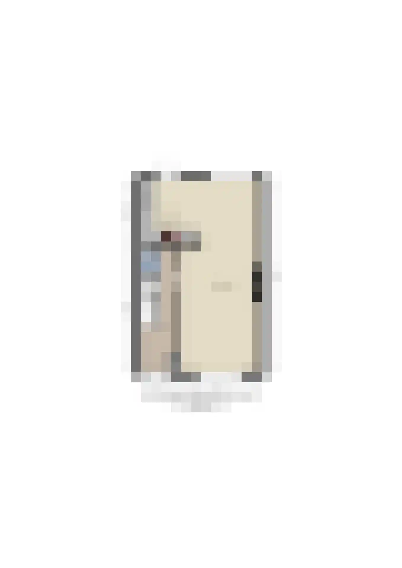 Van den Berghlaan 305 Hoofddorp thumbnail 57