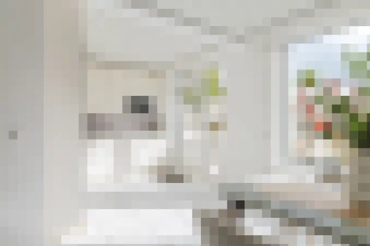 Van den Berghlaan 305 Hoofddorp thumbnail 8