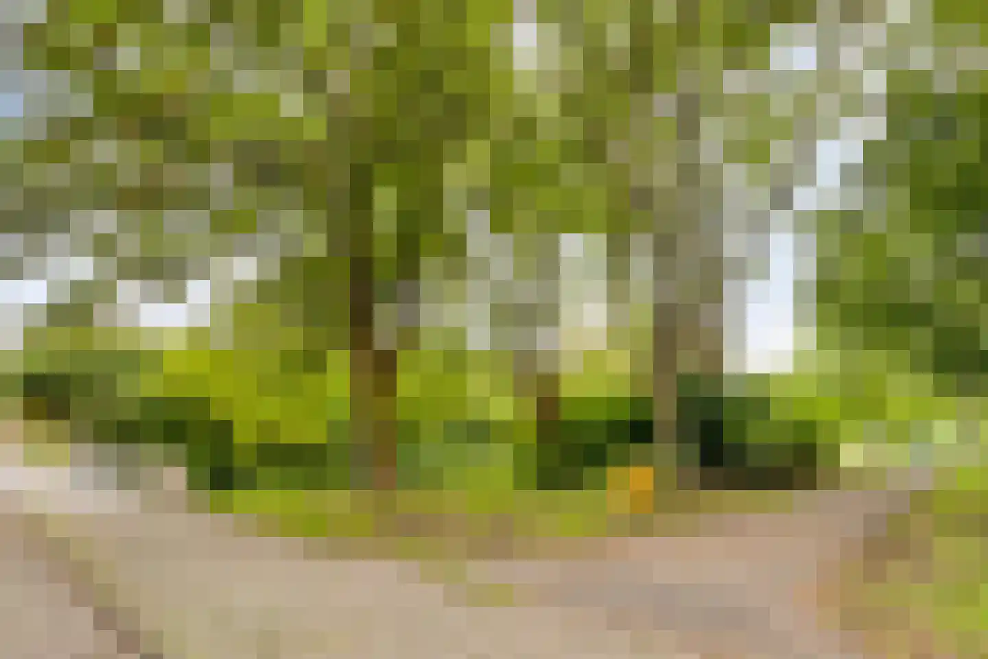 Van den Berghlaan 329 Hoofddorp thumbnail 37