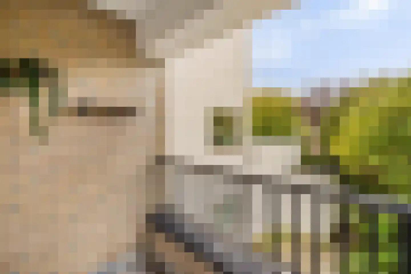 Van den Berghlaan 329 Hoofddorp thumbnail 39
