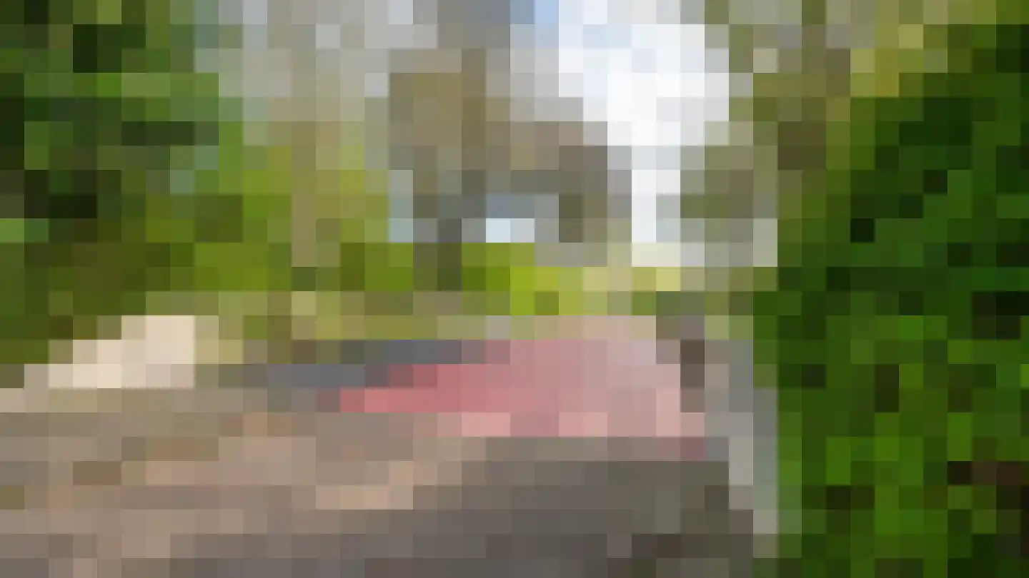 Van den Berghlaan 339 Hoofddorp thumbnail 25