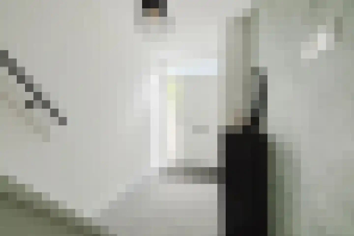 Van den Berghlaan 341 Hoofddorp thumbnail 7