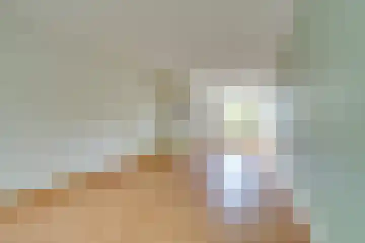Van den Berghlaan 347 Hoofddorp thumbnail 11