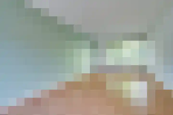 Van den Berghlaan 347 Hoofddorp thumbnail 13