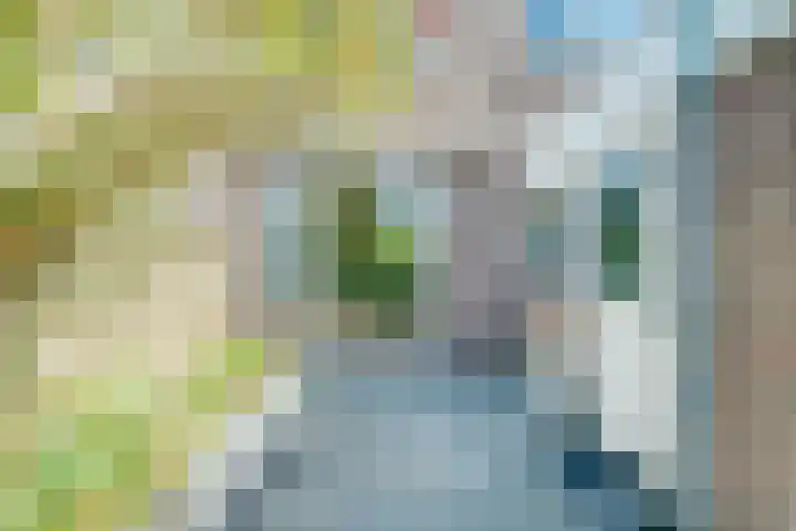 Van den Berghlaan 347 Hoofddorp thumbnail 18