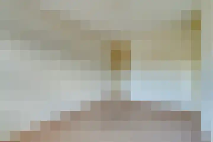 Van den Berghlaan 347 Hoofddorp thumbnail 31