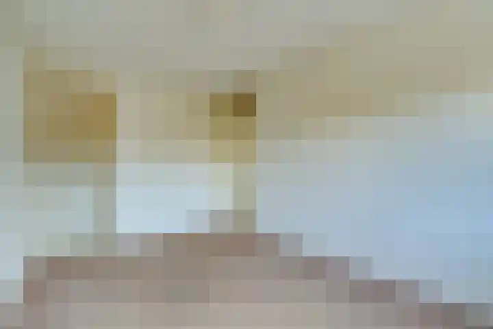 Van den Berghlaan 347 Hoofddorp thumbnail 32