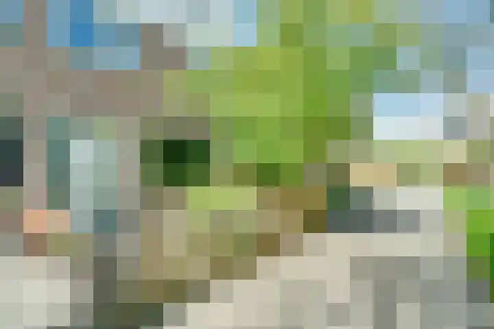 Van den Berghlaan 347 Hoofddorp thumbnail 4