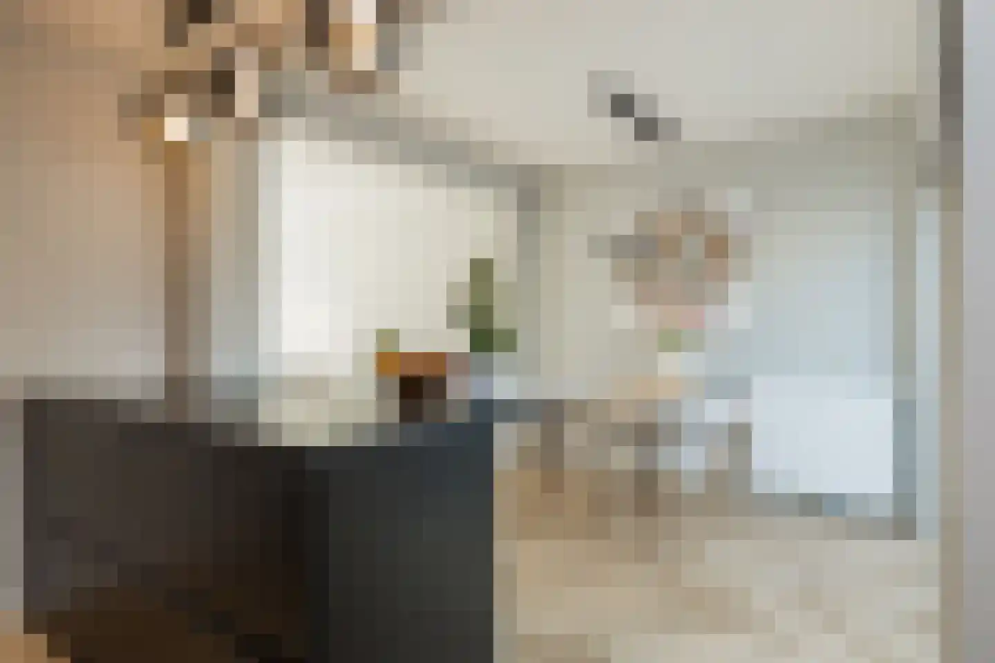 Van den Berghlaan 367 Hoofddorp thumbnail 22