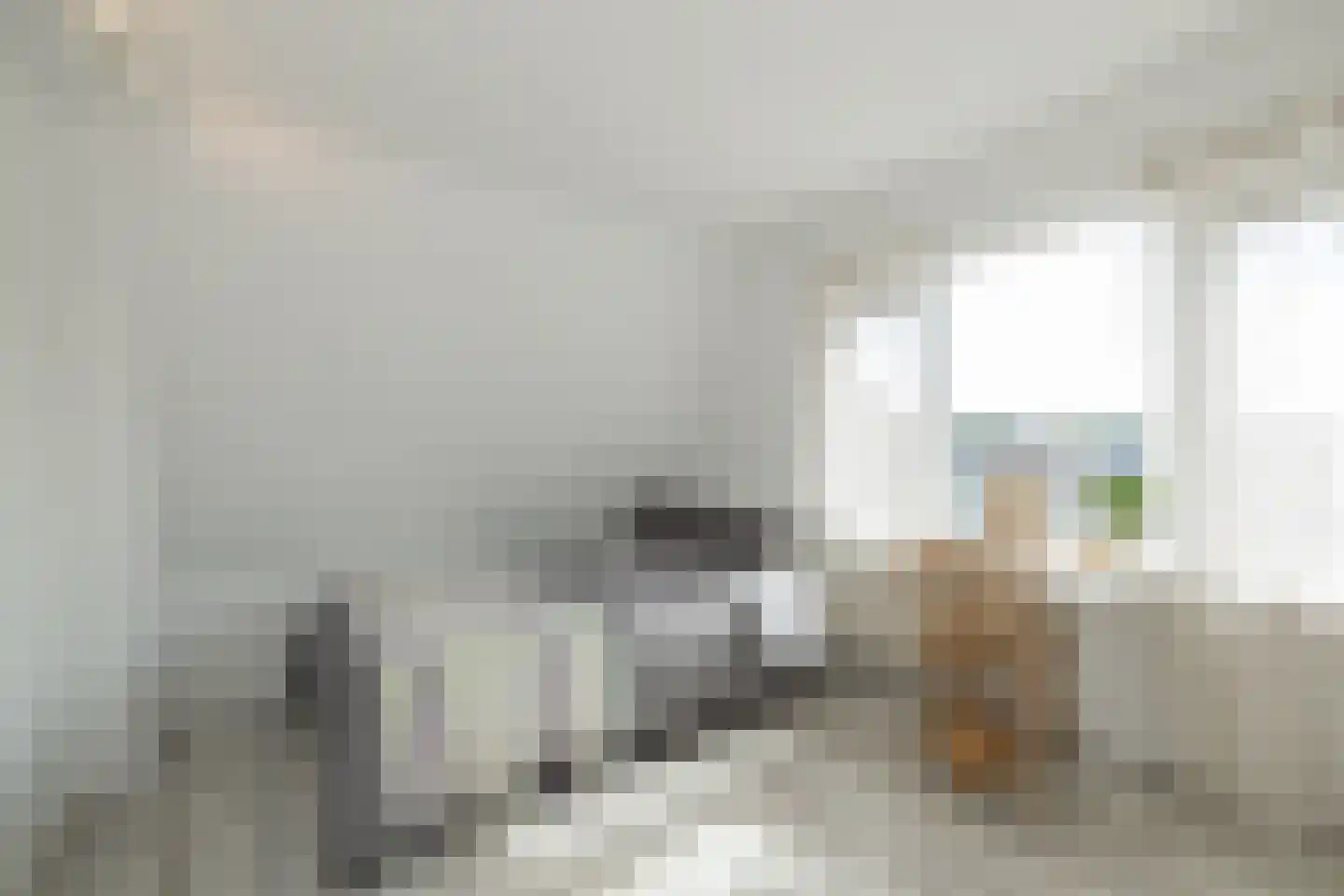 Van den Berghlaan 367 Hoofddorp thumbnail 53