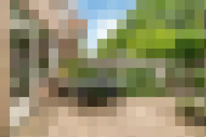 Van den Berghlaan 407 Hoofddorp thumbnail 23