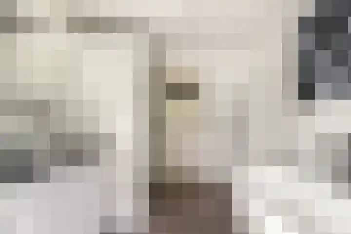 Van den Berghlaan 407 Hoofddorp thumbnail 33